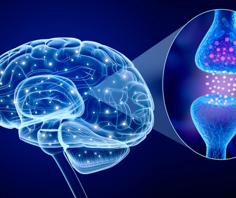 image of brain changing the way we think about our addiction or issue